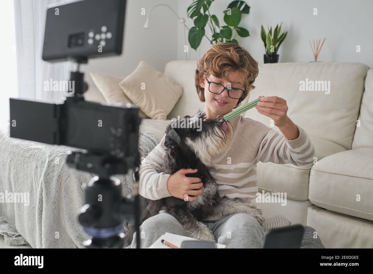 Happy boy feeding his lovely dog and filming a video for his channel. Stock Photo