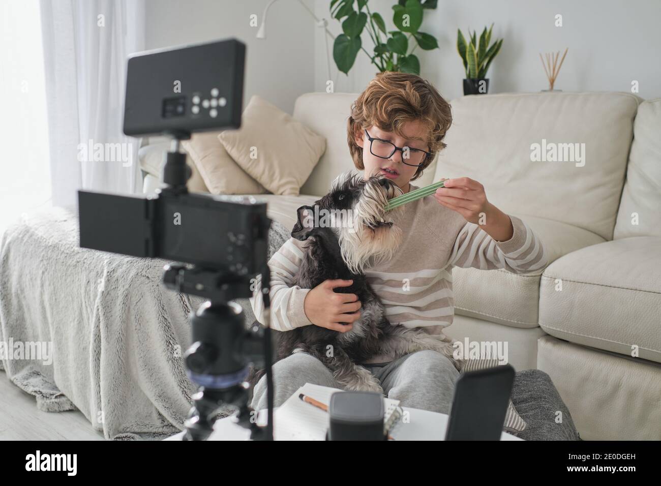 Happy boy feeding his lovely dog and filming a video for his channel. Stock Photo