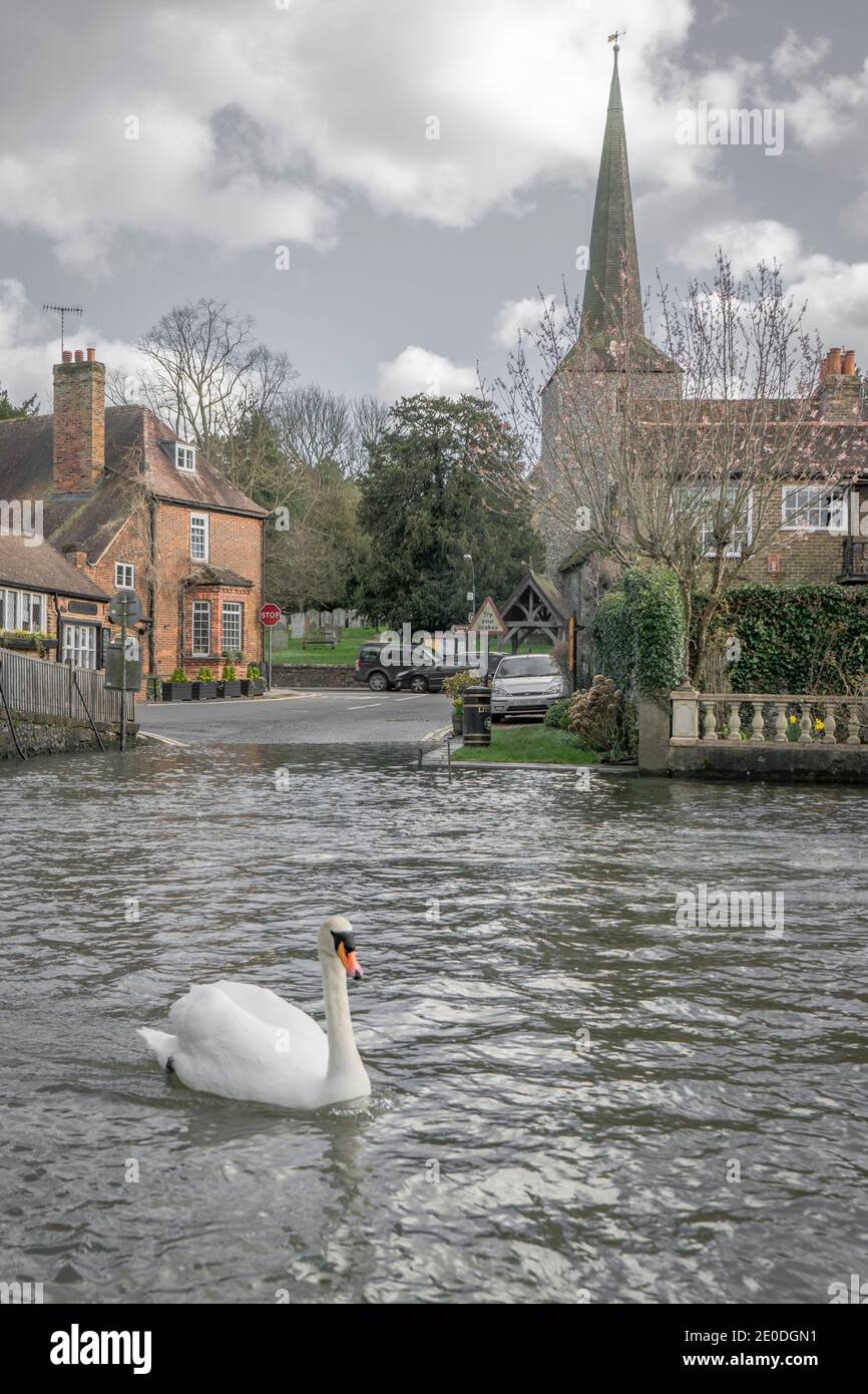 Eynsford Swan at the ford Stock Photo