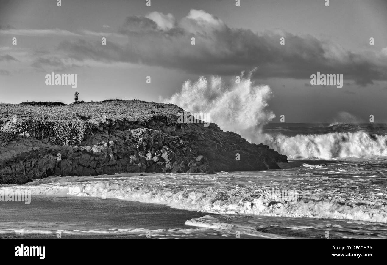 California, San Mateo County, Bean Hollow State Beach, surf
