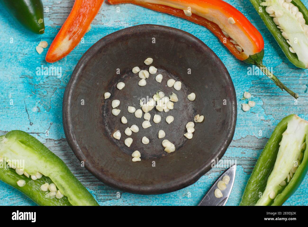 Chilli seed. Saving chilli seed. Seeds from ripe chilli peppers removed for drying and storing for future sowing. UK Stock Photo