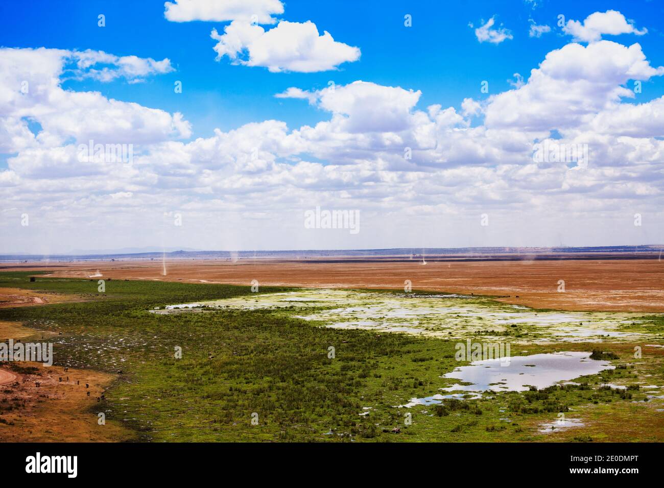 Panorama of savanna with many dust tornados on the plain in Amboseli National Park Stock Photo
