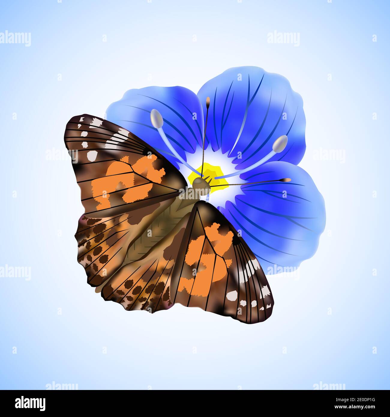 Butterfly Painted lady or Vanessa Cardui sitting on a blue flower isolated on white and blue background.Vector illustration. Stock Vector