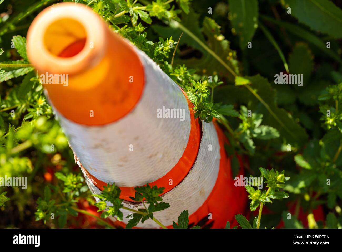 Traffic Cone Being Overgrown by Plants Stock Photo - Alamy