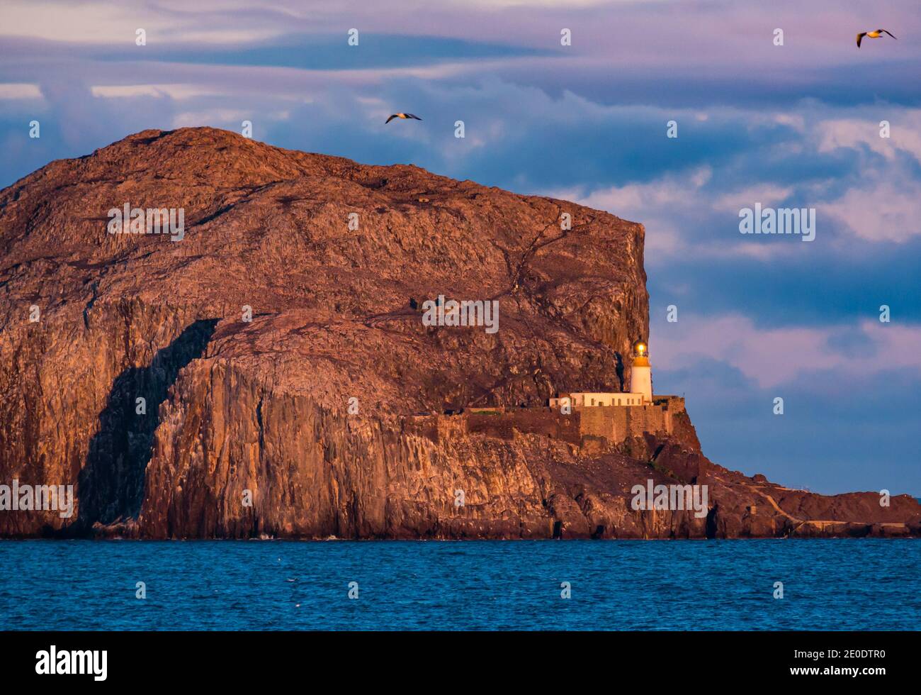 Bass Rock island and lighthouse at sunset, Firth of Forth, Scotland, UK Stock Photo