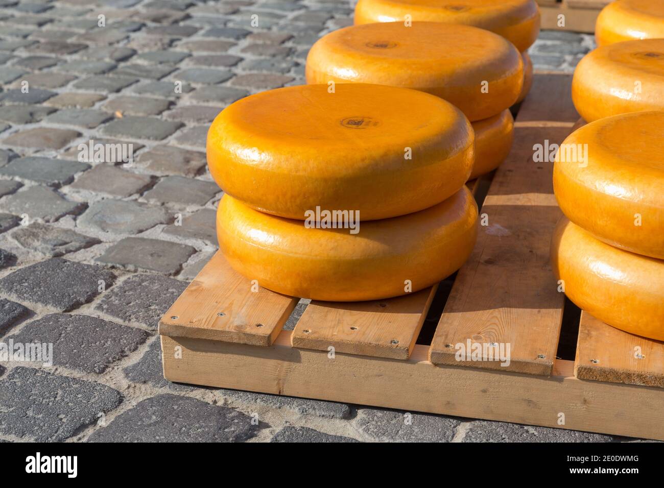 Wheels of Gouda Cheese at the Gouda Cheese Market Stock Photo Alamy