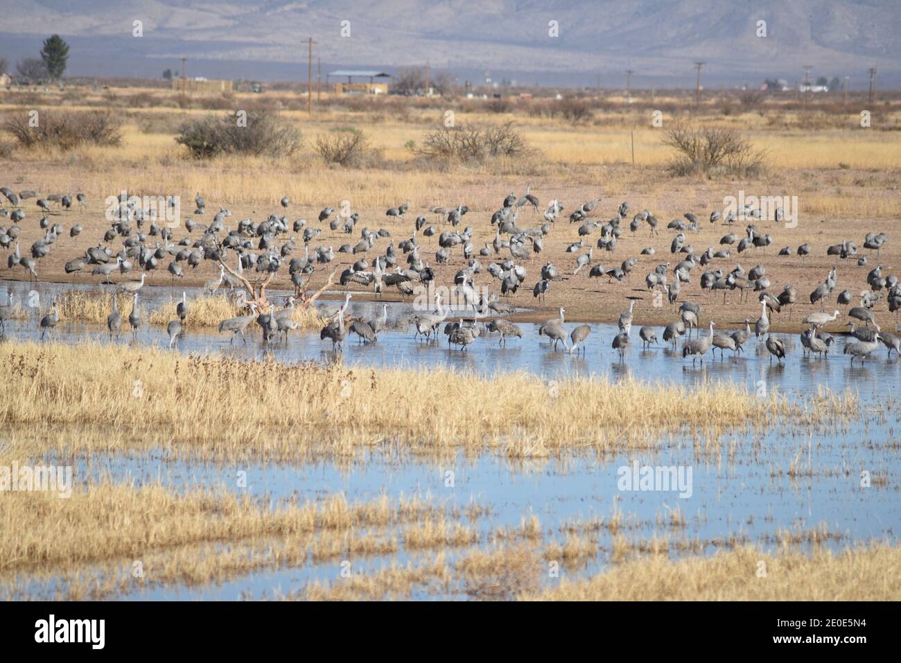 Mcneal High Resolution Stock Photography and Images Alamy