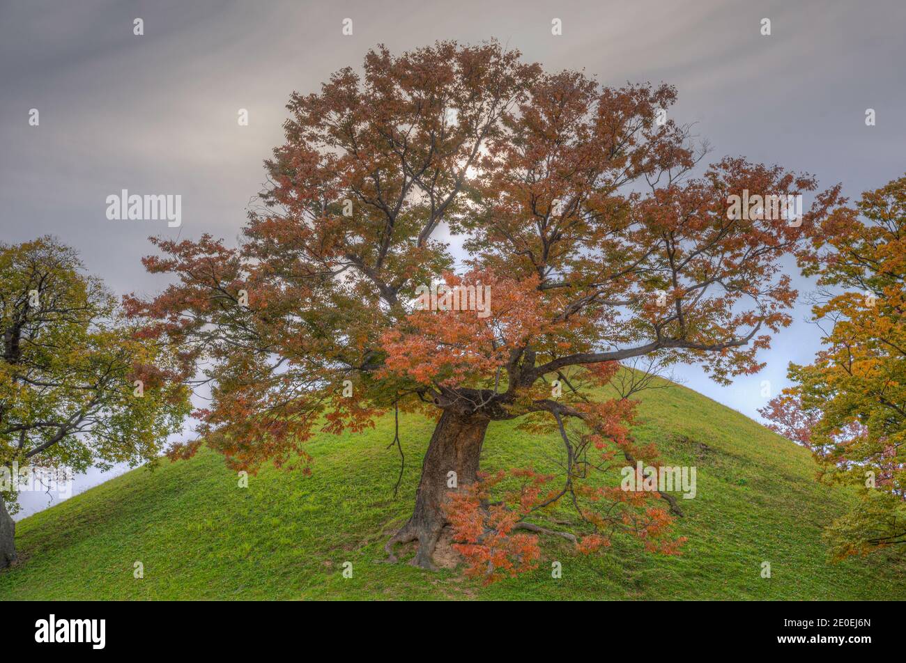Korean burial mound hi-res stock photography and images - Alamy