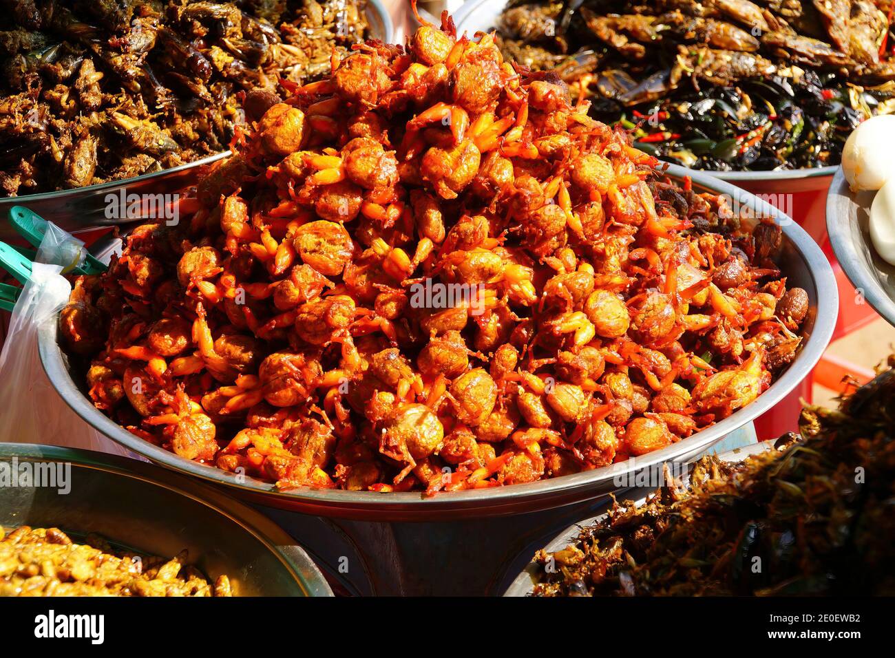 Deep fried insects, a traditional snack, Skoun,  Cambodia Stock Photo