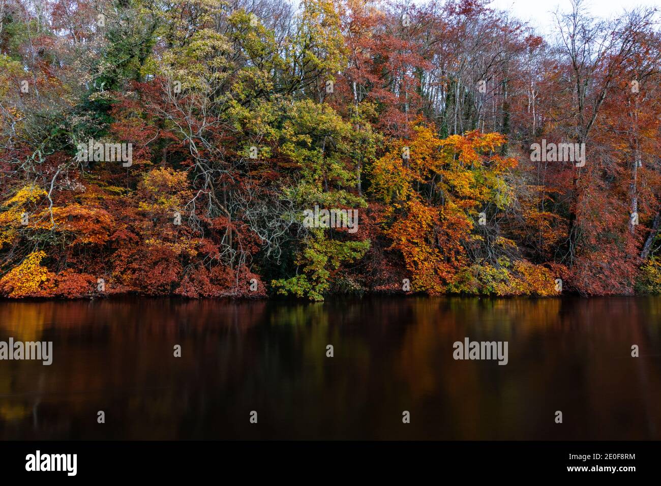 Autumn landscape of colorful trees reflected in the mirrored surface of ...