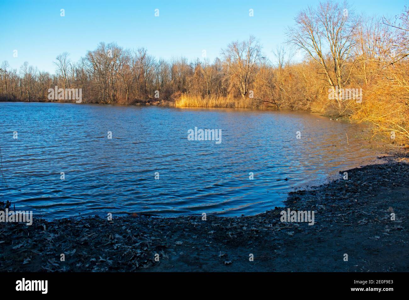 It's a cold, sunny afternoon in early winter with clear skies at Lake Marlu in Thompson Park, Holmdel, New Jersey, USA. -07 Stock Photo