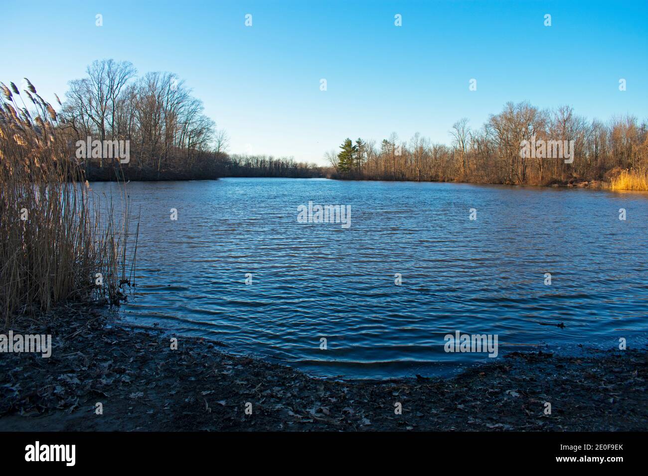 It's a cold, sunny afternoon in early winter with clear skies at Lake Marlu in Thompson Park, Holmdel, New Jersey, USA. -08 Stock Photo