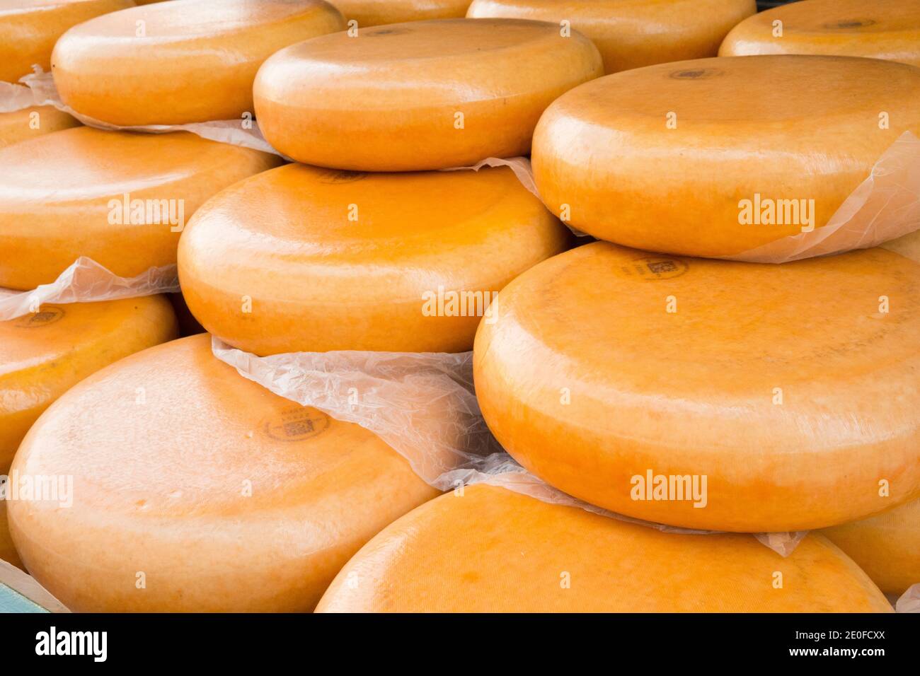 Wheels of Gouda Cheese stacked in a wagon after the market Stock Photo