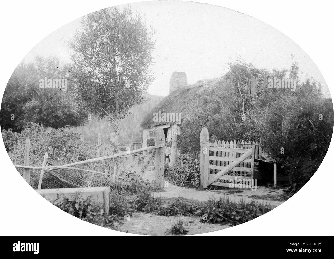 The second oldest house still standing at Hanmer Springs, Canterbury, New Zealand. Image circa 1916, from the Logie family collection. Note the thatched roof. Stock Photo