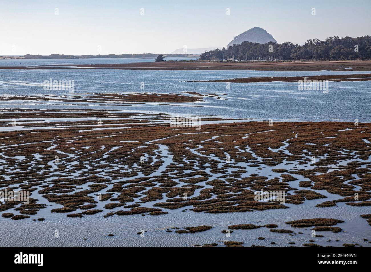 View of Morro Bay and Morro Rock from the Elfin Forest, Baywood Park