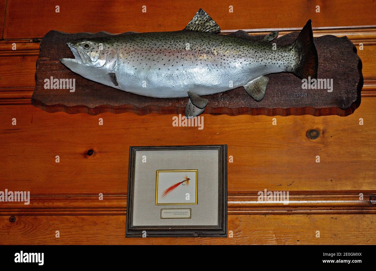 fish and tied fly display on wall of in the Angler's lodge in Golden Gate Park, San Francisco, California Stock Photo
