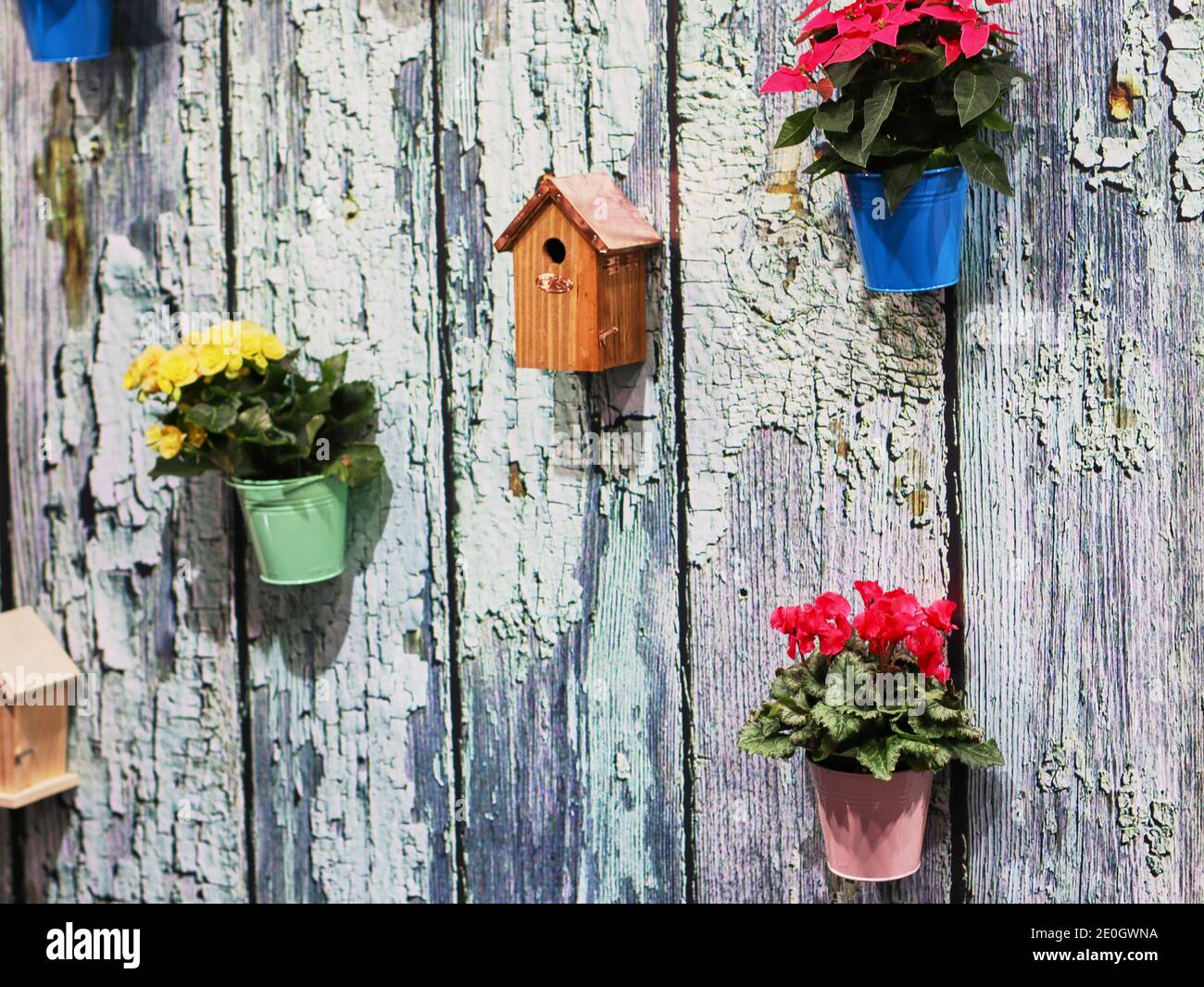 Old wooden fence flowers hi-res stock photography and images - Alamy