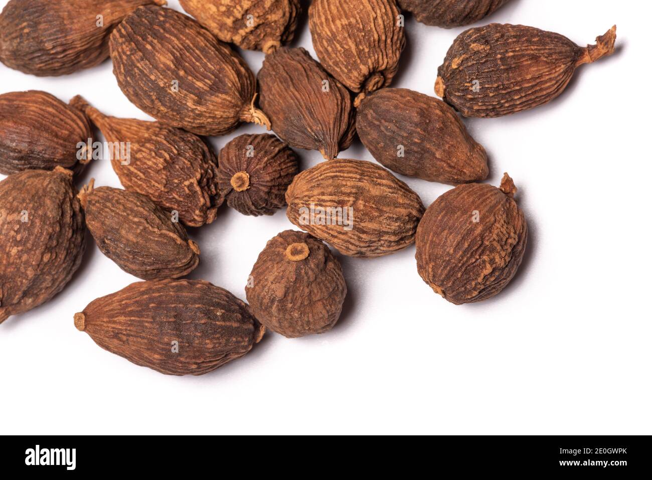 Black Cardamom, latin name: Amomum subulatum on a white background close-up view Stock Photo