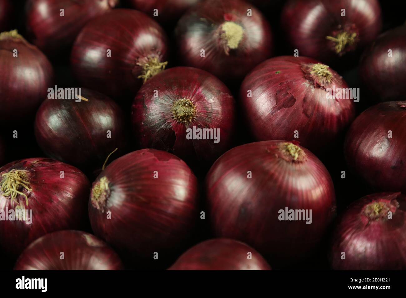 sweet red onions on background Stock Photo