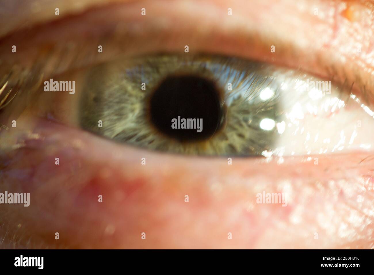 Human eye with big pupil. Drug addict concept Stock Photo