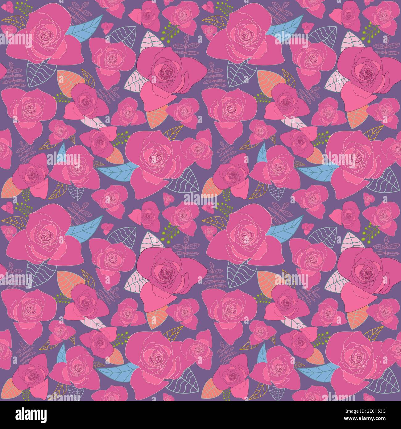 Kimberly rose hi-res stock photography and images - Alamy