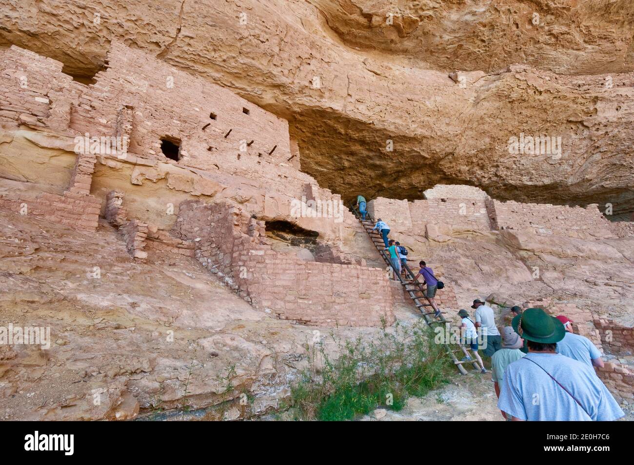 Visitors climbing a ladder at Long House cliff dwelling in alcove at ...