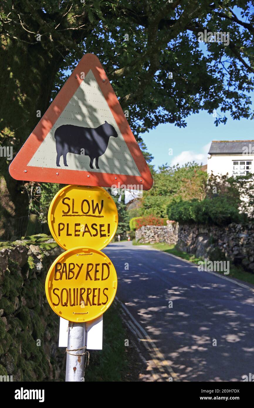 Road signs warning of Sheep and Baby Red Swuirrels Stock Photo
