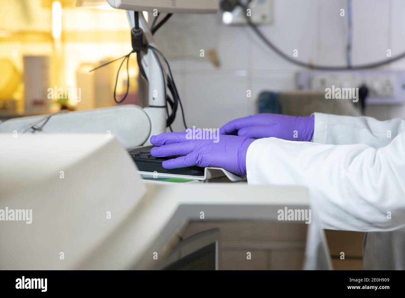 Closup of doctor or medical worker wearing gloves typing on computer keyboard at hospital. Background, copy space. Stock Photo