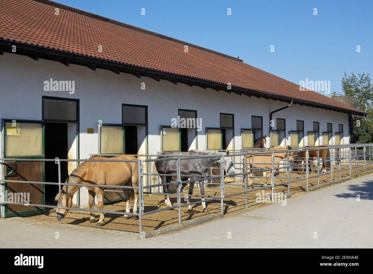 Horse stable Stock Photo