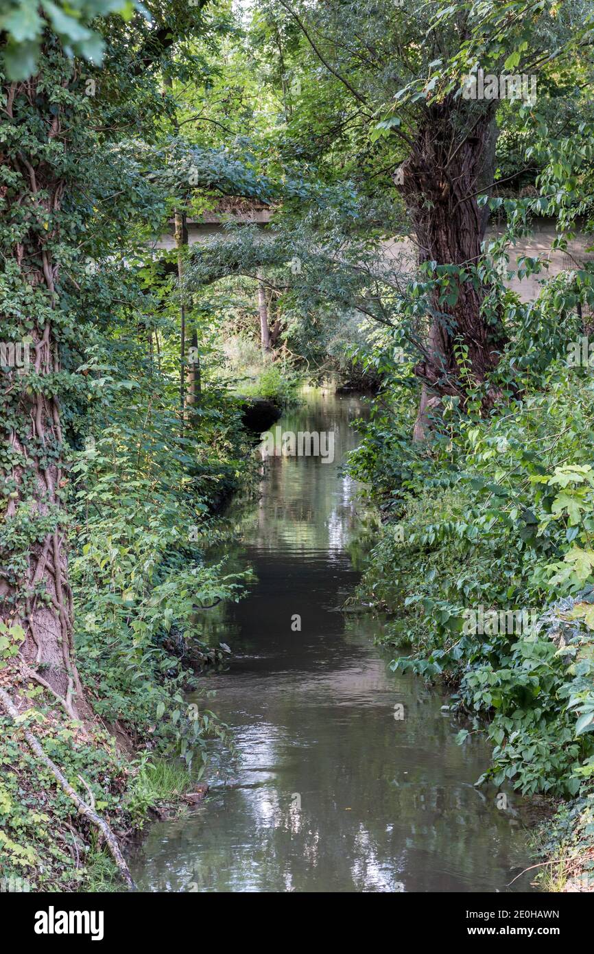 Little bridge across the little creek in the green countryside Stock Photo