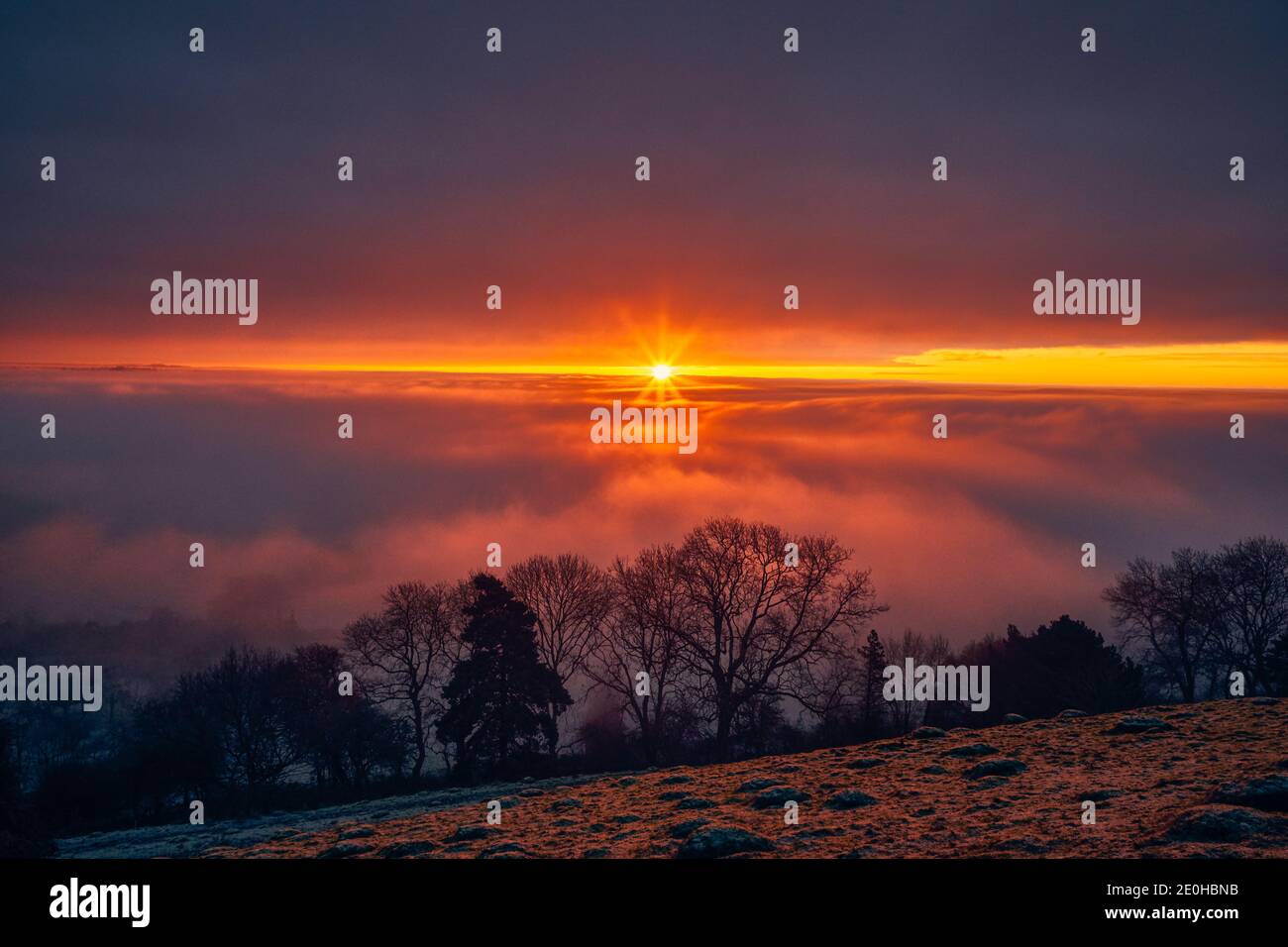 majesty 2 cold sunrise majesty 2 cold sunrise