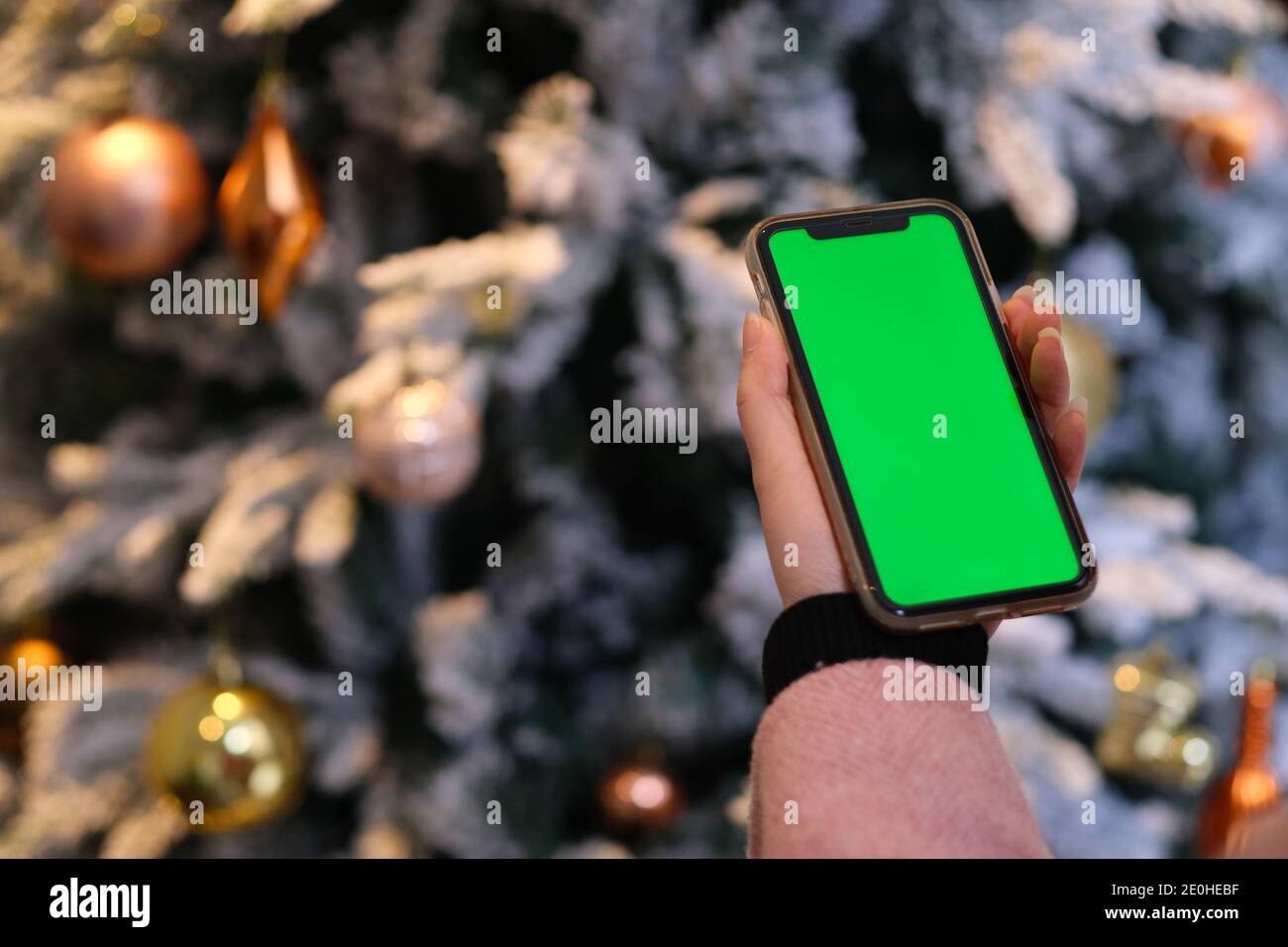 over the shoulder view of people holding green screen phone. Blur Christmas tree background Stock Photo