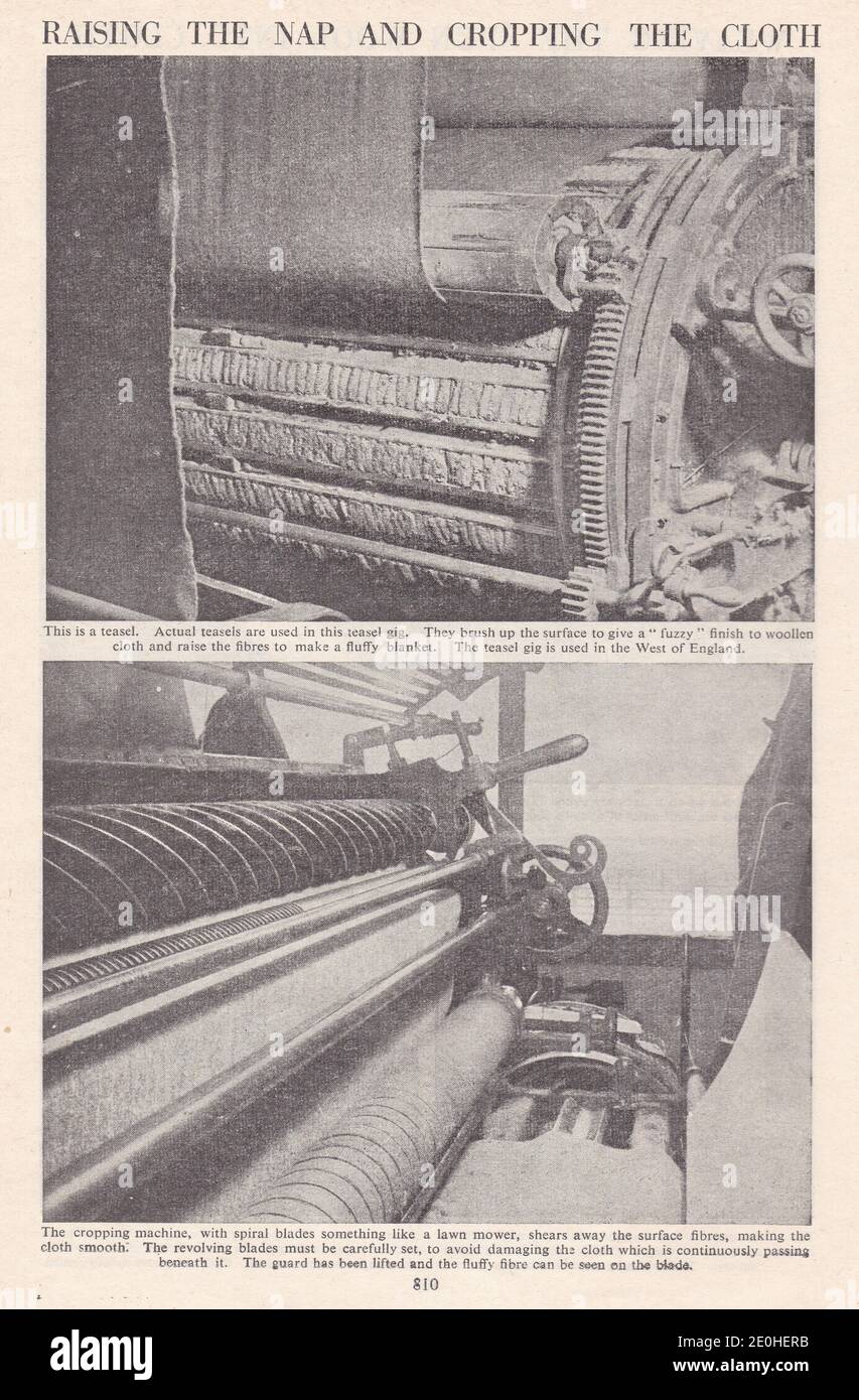 Vintage photos of the manufacturing of wool 1900s - Raising the nap and cropping the cloth. Stock Photo