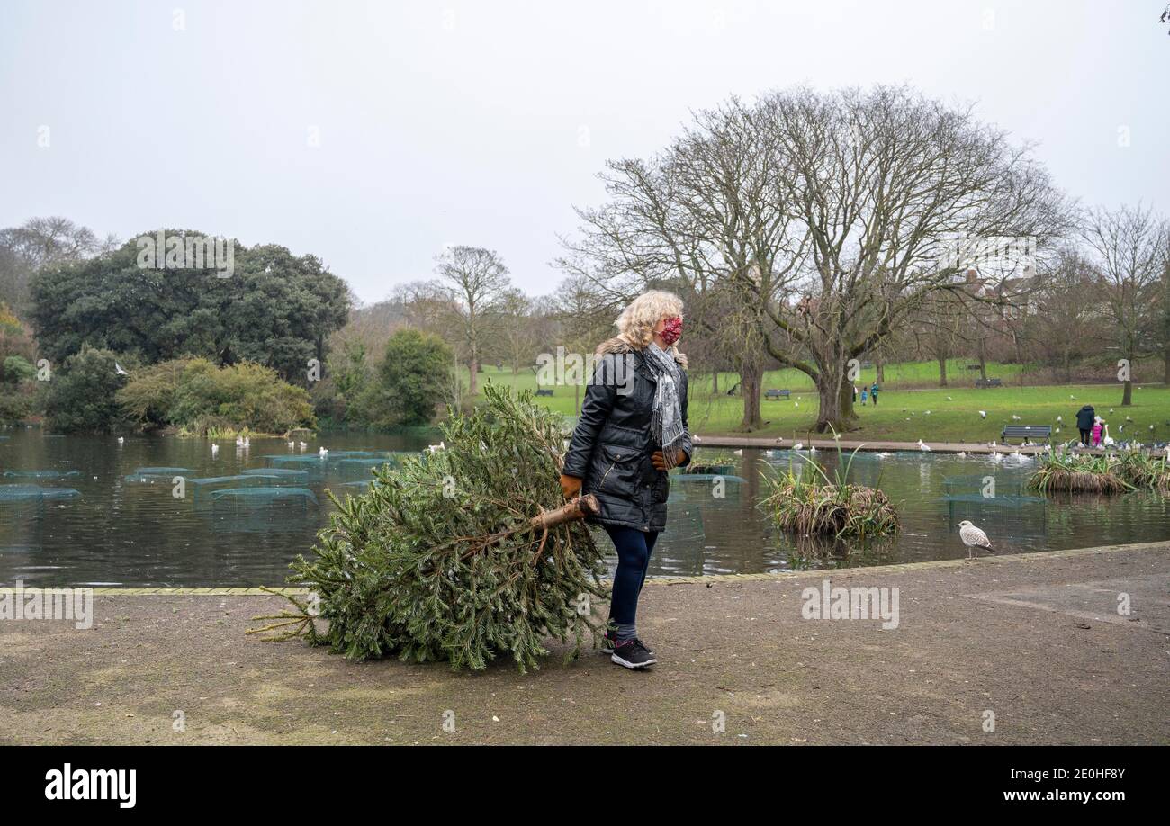 Christmas tree recycling hires stock photography and images Alamy