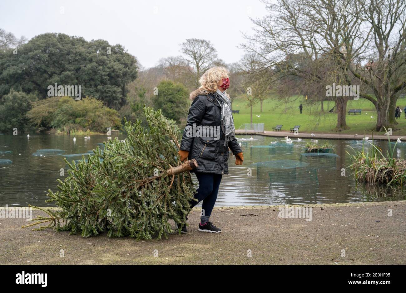 Real life in the uk hires stock photography and images Alamy