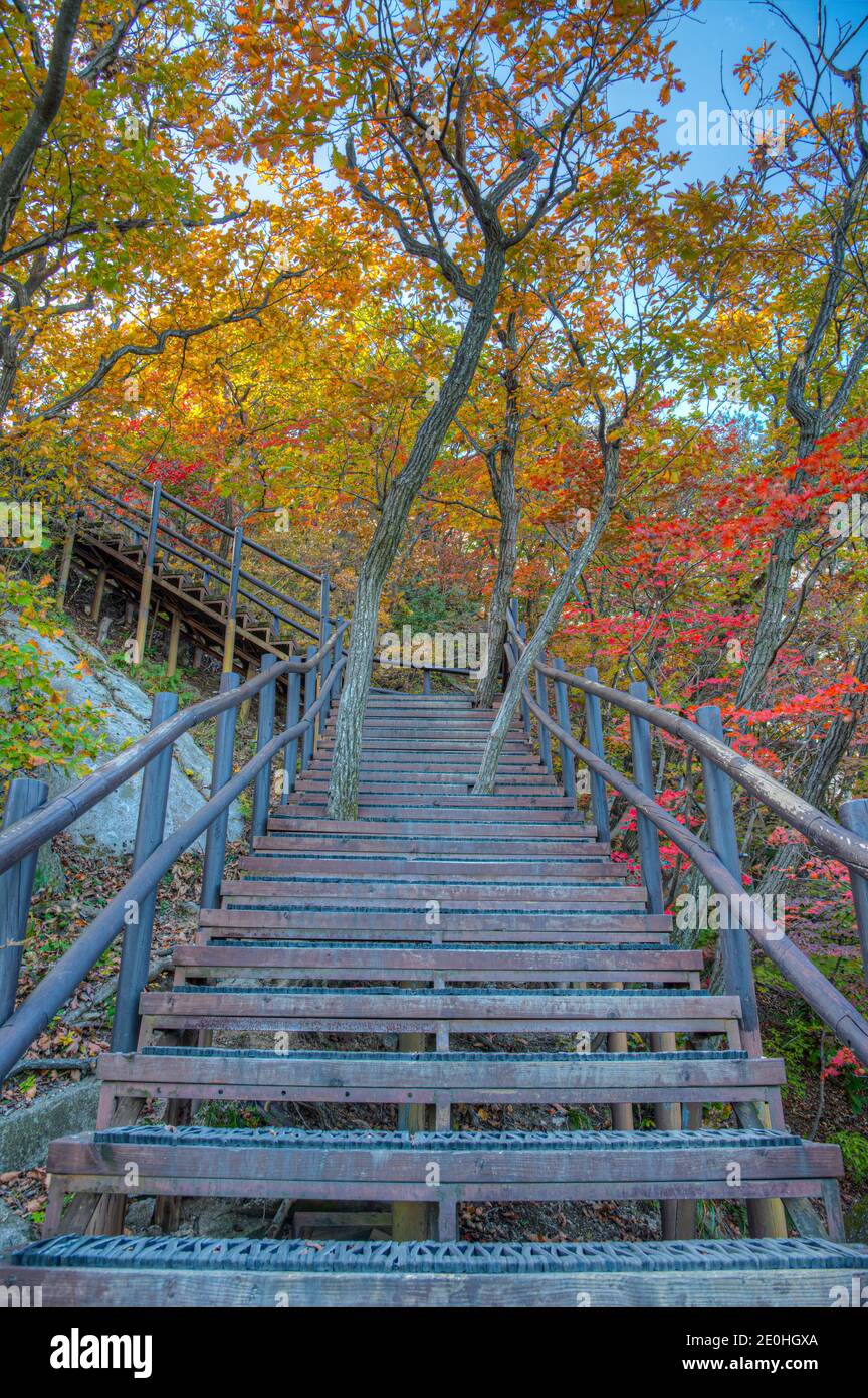 pilgrim path along steep steps to the … – License image – 70057520 ❘  lookphotos