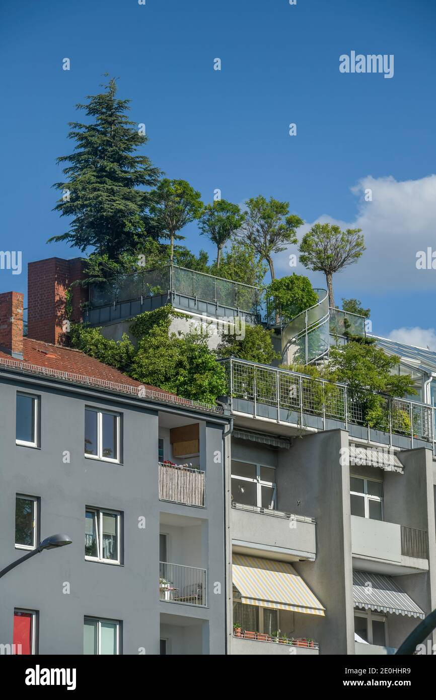 Neuer Gruner Weg