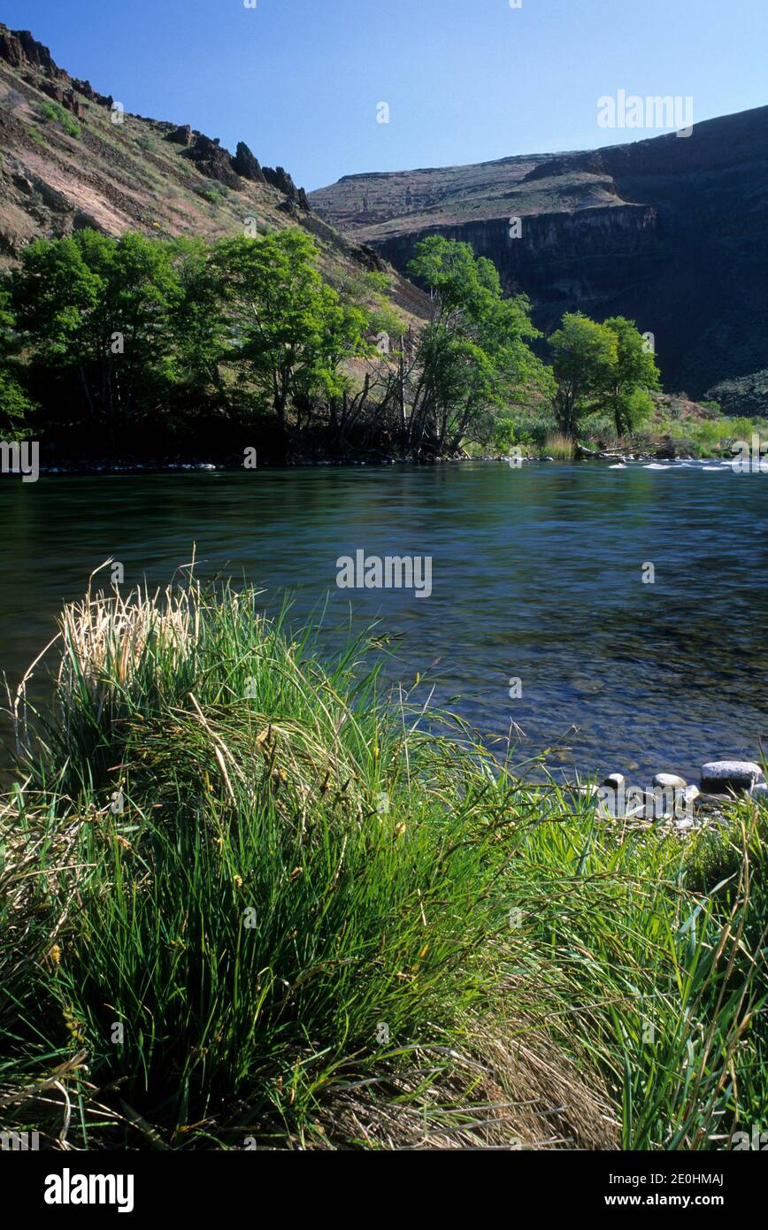Deschutes River upstream from Maupin, Deschutes Wild & Scenic River