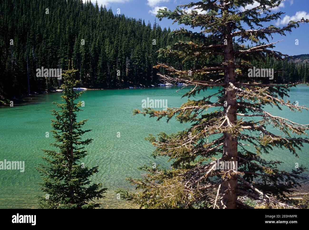 Devils Lake, Cascade Lakes National Scenic Byway, Deschutes National