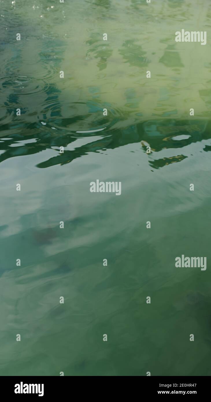 Shadow In Water Dark shadow reflection in water with ripples Stock Photo - Alamy