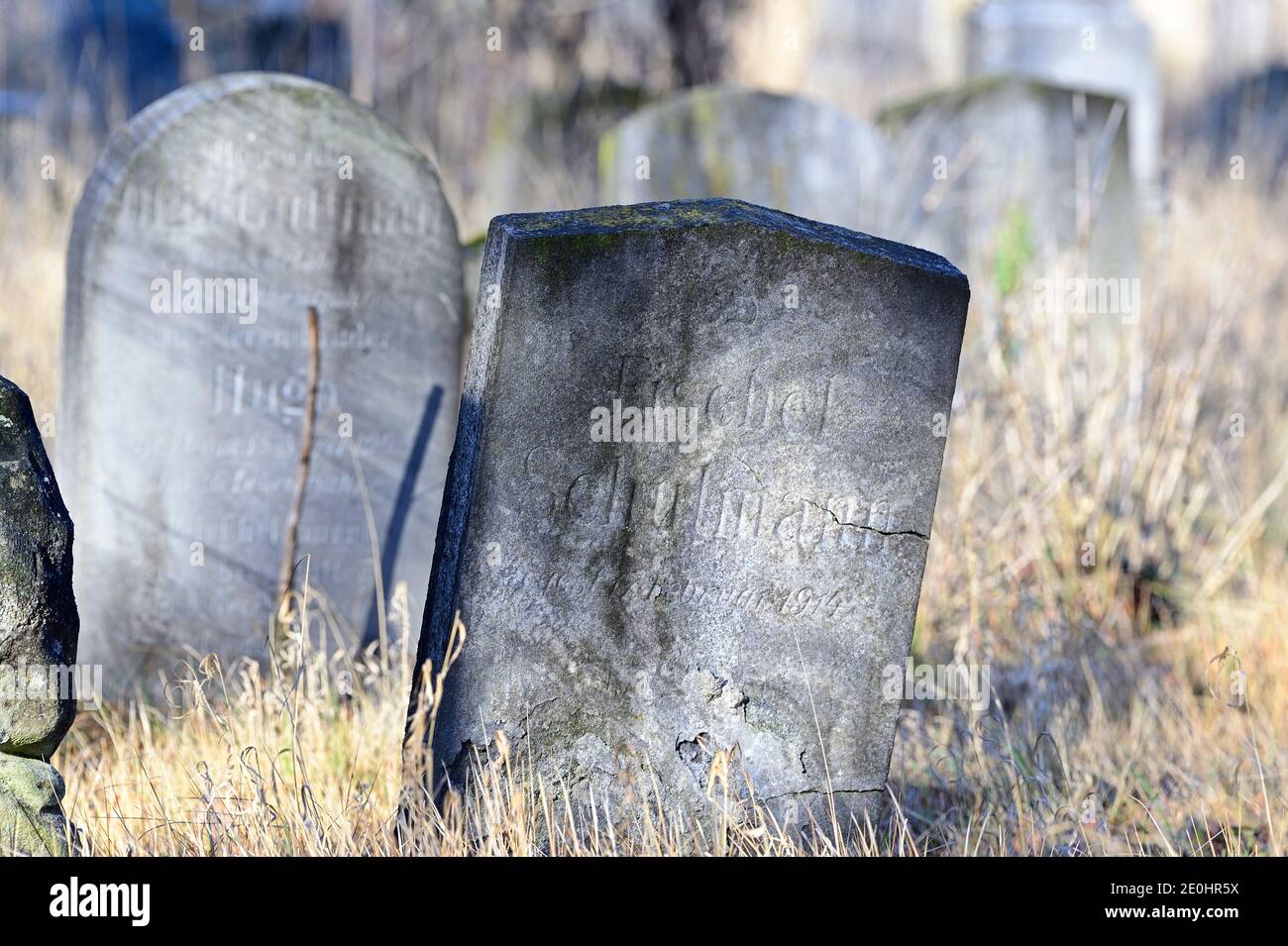 Vienna, Austria. The Jewish department at the central cemetery in Vienna Stock Photo