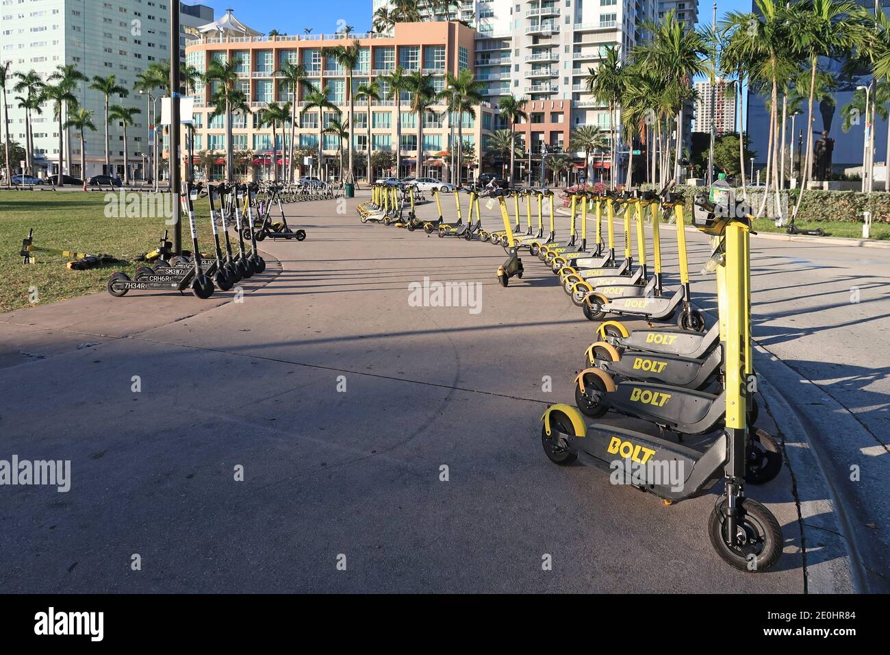 Miami, Florida 12272020 Rental scooters lined up and ready for
