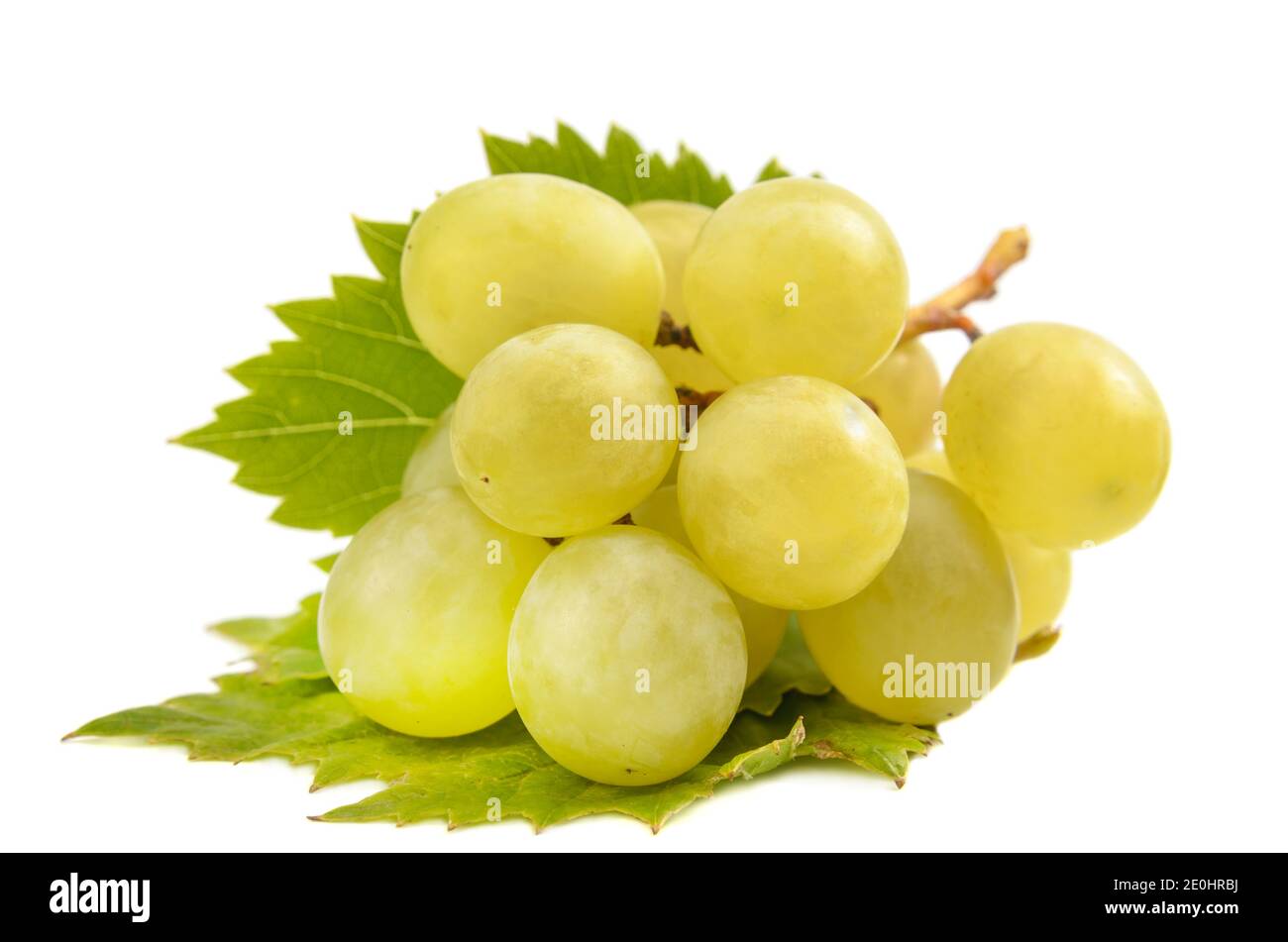 berries and a branch of grapes on a white background, blank for your photo manipulations Stock Photo