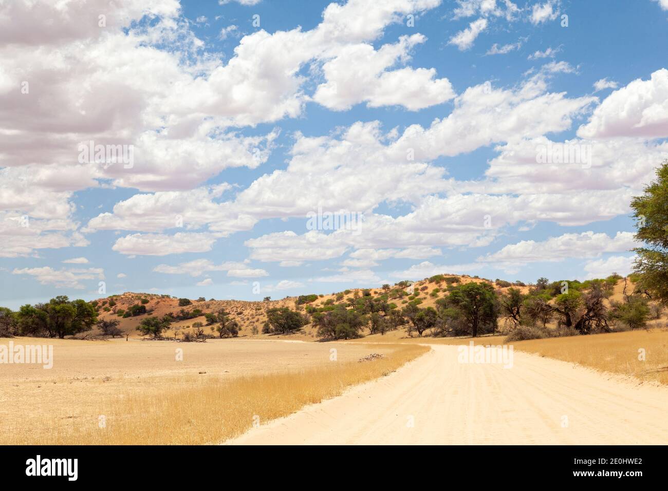Sand road on the Auob River near Mata Mata, Kgalagadi Transfrontier Park, Kalahari, Northern Cape South Africa in a red dune landscape Stock Photo