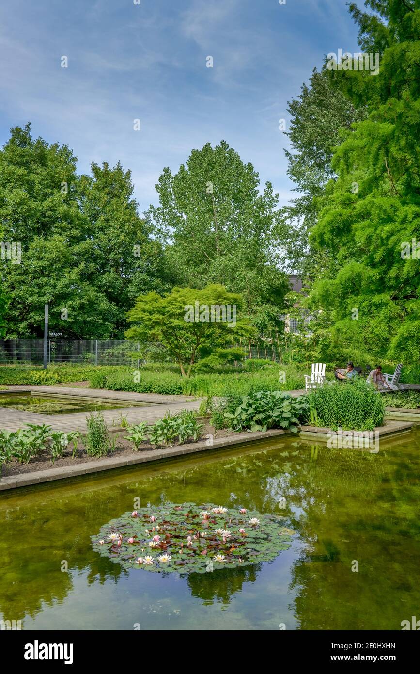 Japanischer Garten, Planten und Blomen, Hamburg, Deutschland Stock