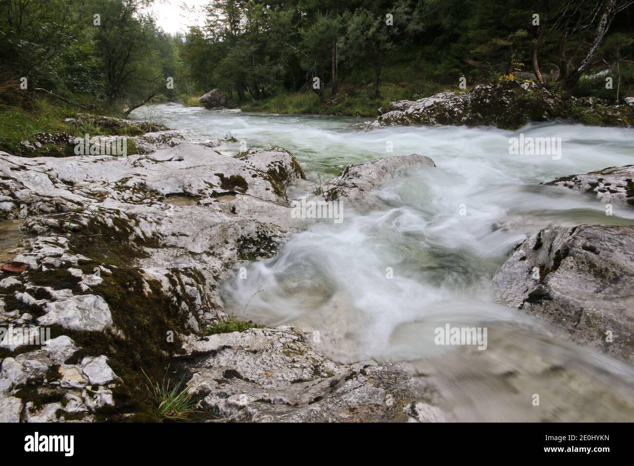 Rocks in wild mountain river Mostnica, Voje Valley, Bohinj, Slovenia Stock Photo