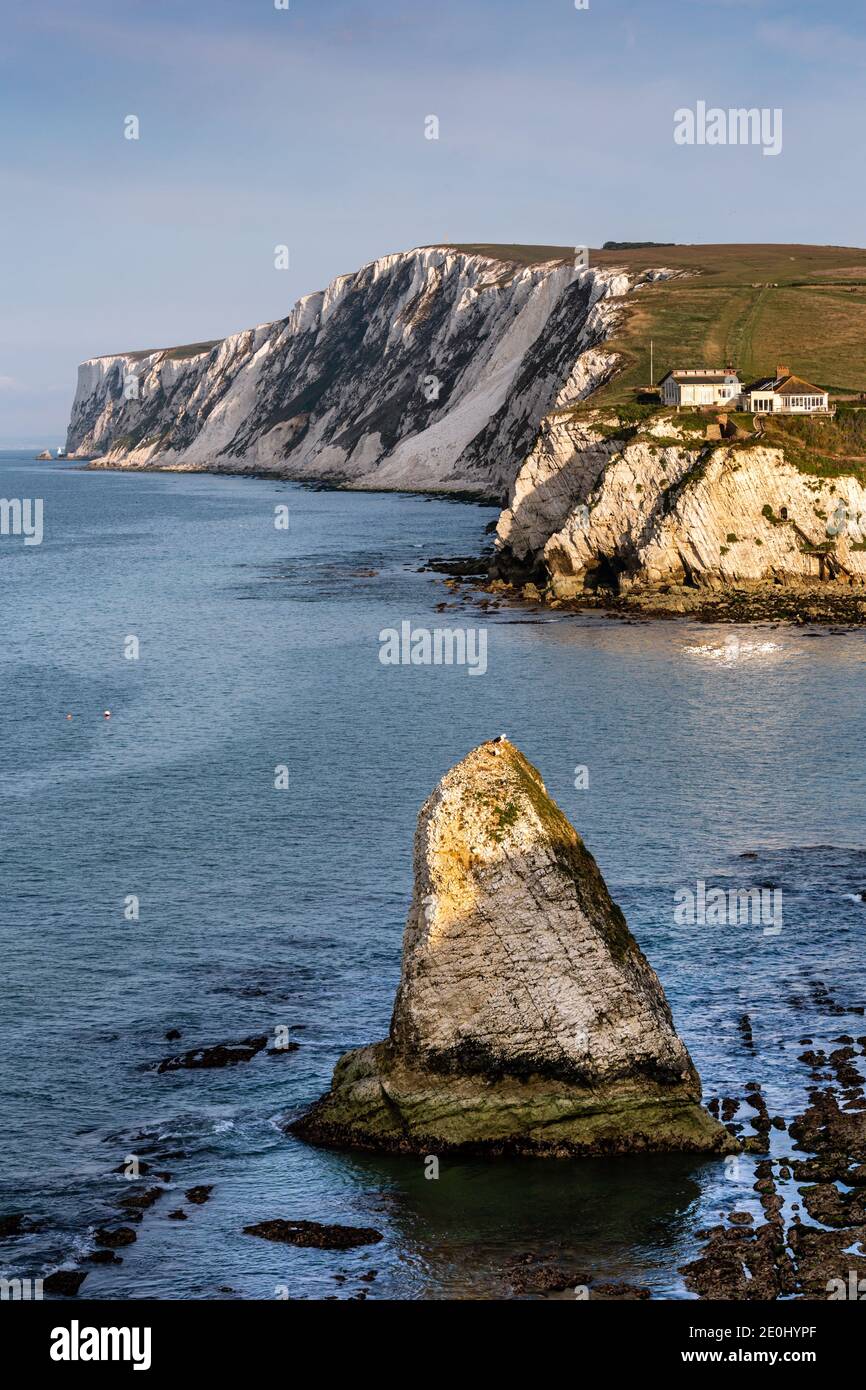 Sea stacks at Freshwater Bay on the Isle of Wight, England, Uk. Looking west towards Tennyson Down. Stock Photo