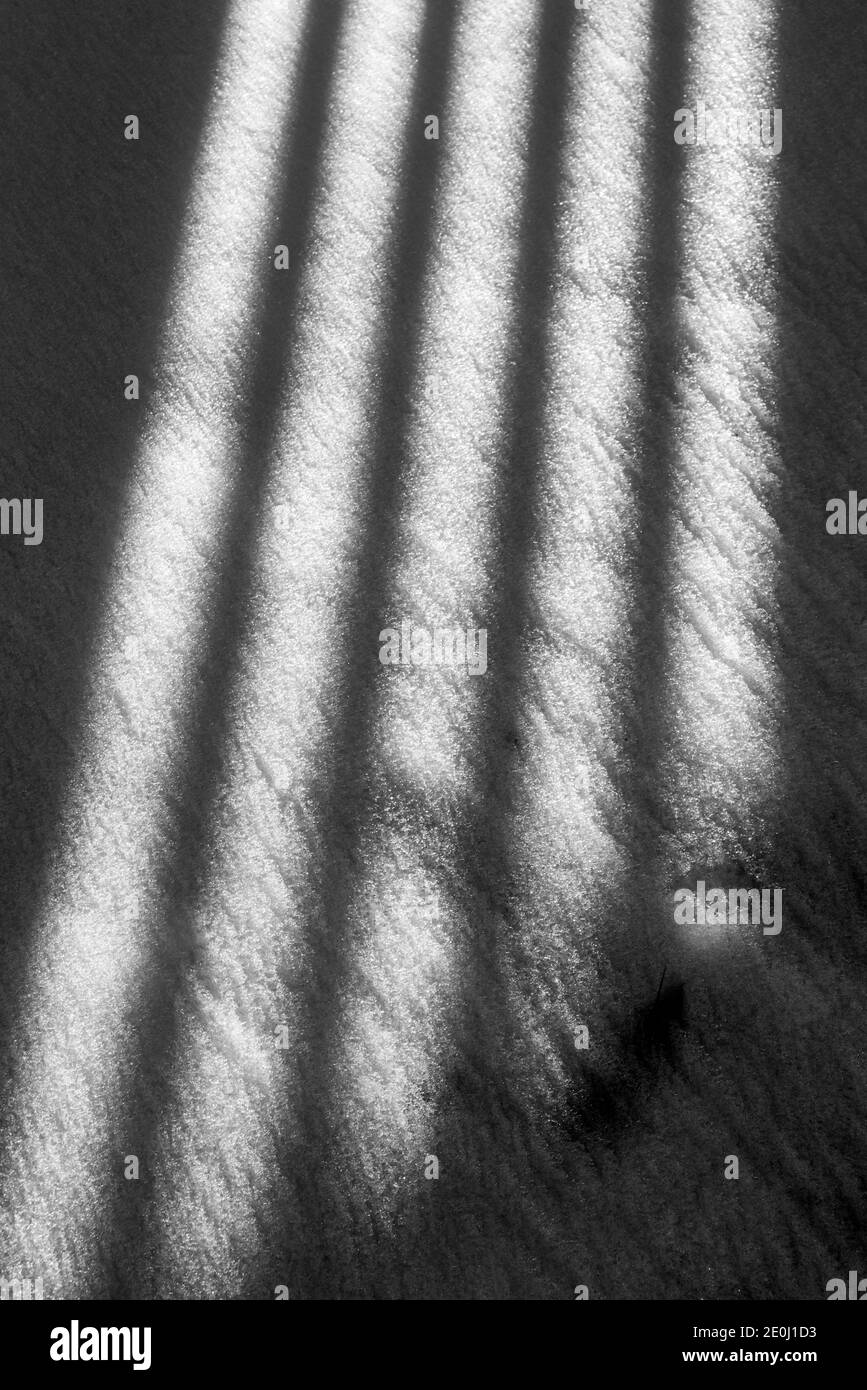 Black & white view of white vinyl picket fence casts long winter shadows on fresh snow; Salida; Colorado; USA Stock Photo