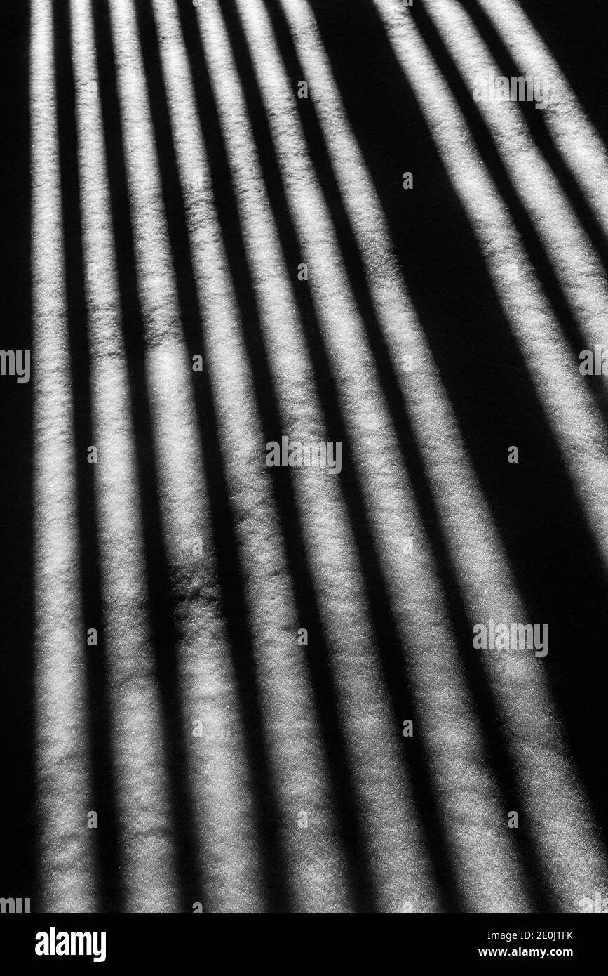 Black & white view of white vinyl picket fence casts long winter shadows on fresh snow; Salida; Colorado; USA Stock Photo