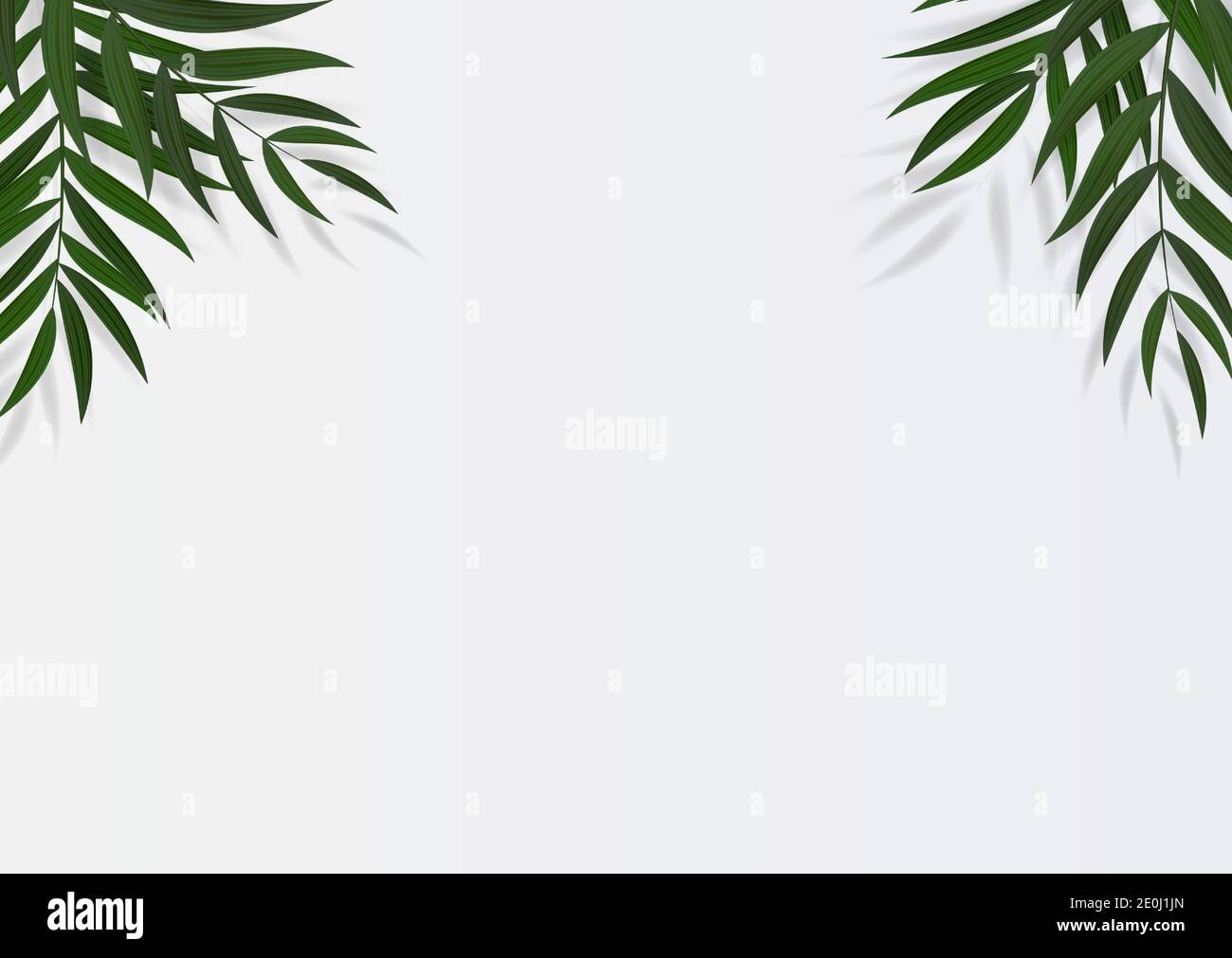 Abstract Realistic Green Palm Leaf Tropical Background. Vector illustration Stock Vector